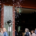 DSC00211