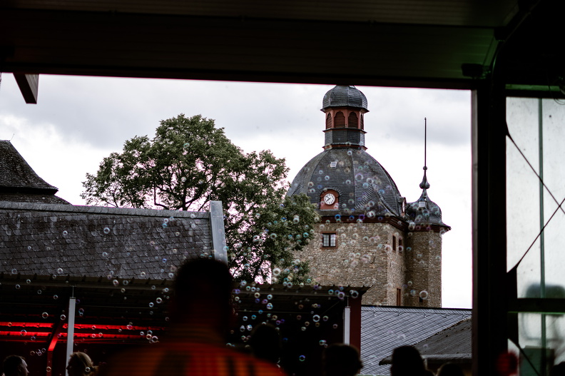 DSC00252.jpg