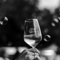 DSC00258-2